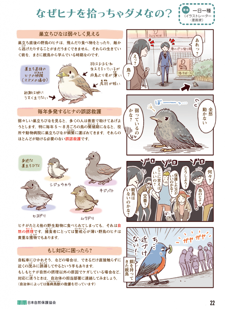 ４コマ漫画の画像
