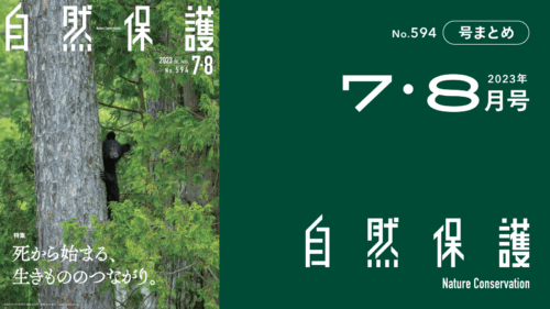 会報『自然保護』No.594　2023年7・8月号　特集:死から始まる、生きもののつながり。