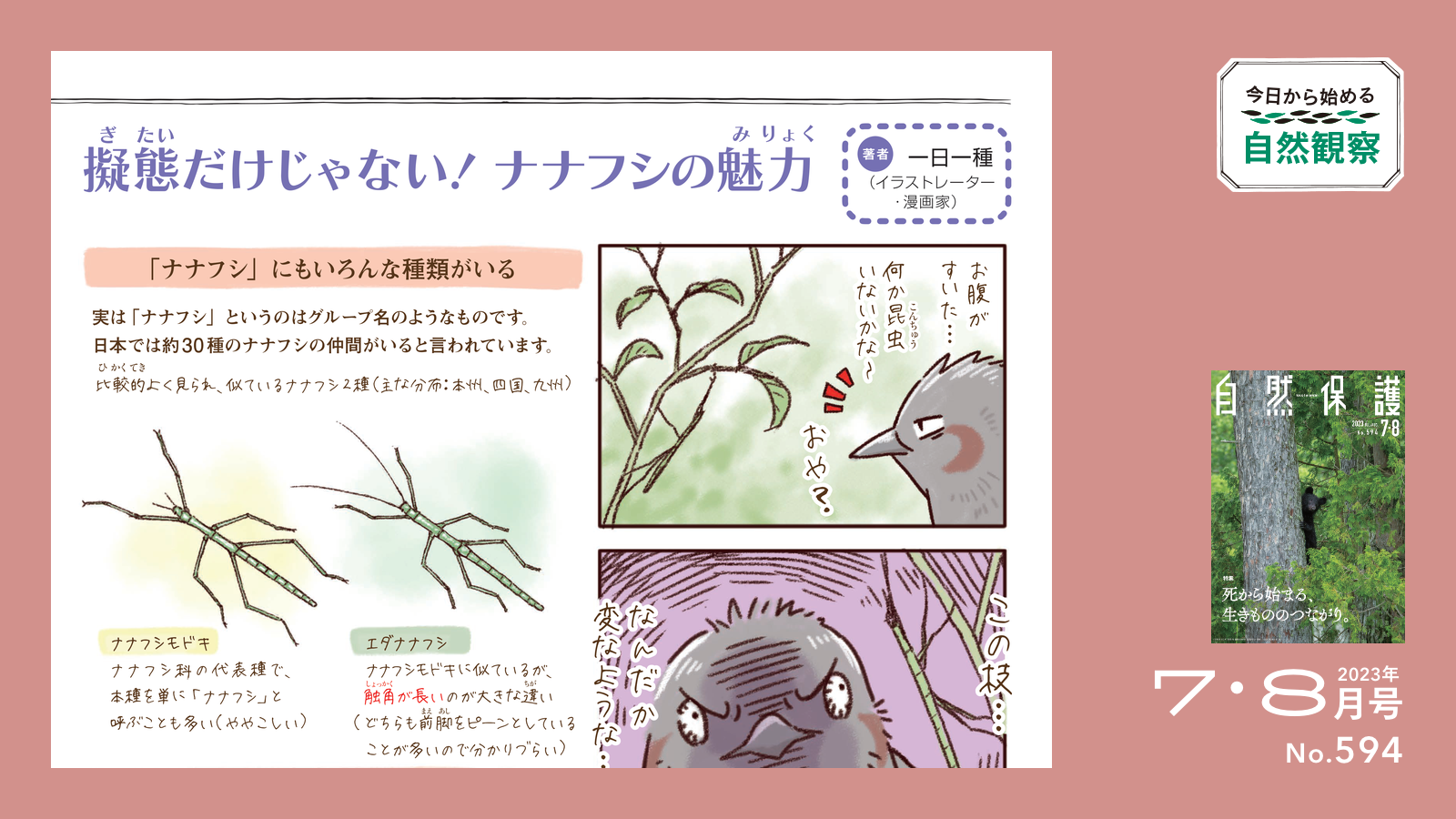 配布資料】今日から始める自然観察「擬態だけじゃない！ナナフシの魅力