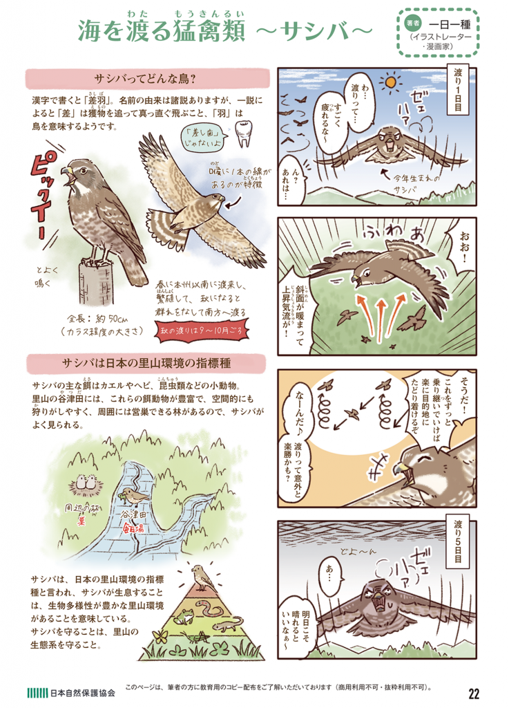 4コマ漫画記事の画像