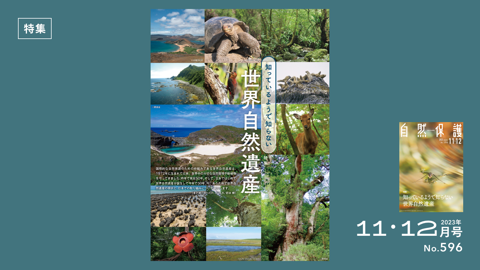 コロナ制圧祈願還元キャンペーン・日本画壇の重慎として活躍、小野竹喬・真作保証 コロナ制圧祈願還元キャンペーン・日本画壇の重慎として活躍