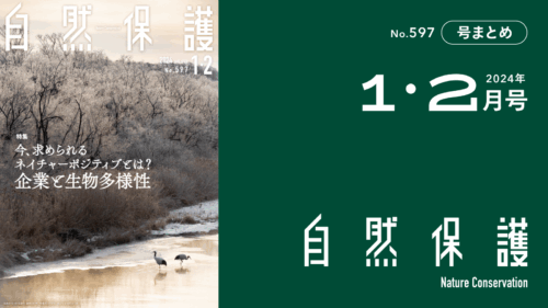 会報『自然保護』No.597　2024年1・2月号　特集:今、求められるネイチャーポジティブとは？企業と生物多様性