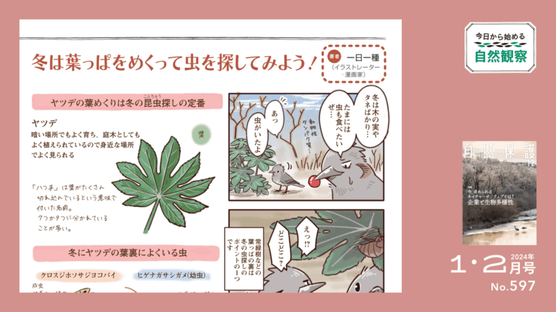 今日からはじめる自然観察２のタイトル画像