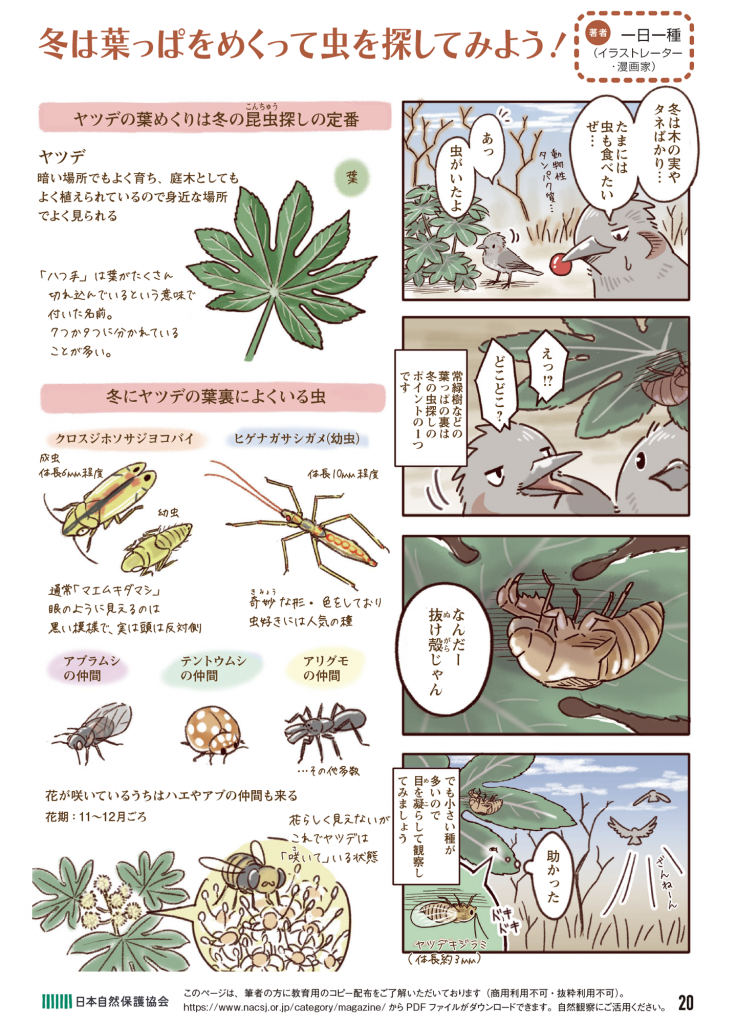 4コマ漫画の画像