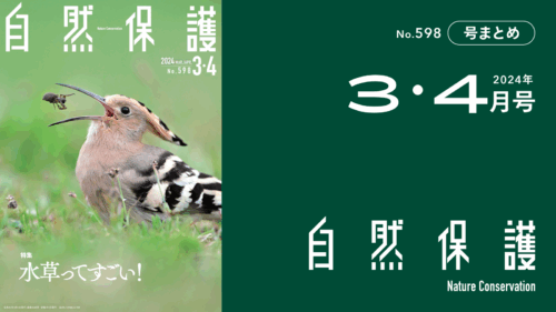 会報『自然保護』No.598　2024年3・4月号　特集:水草ってすごい！