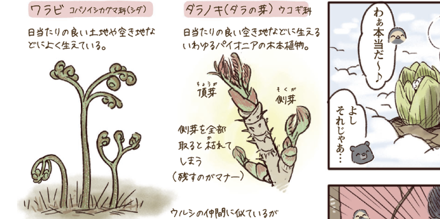 山菜
