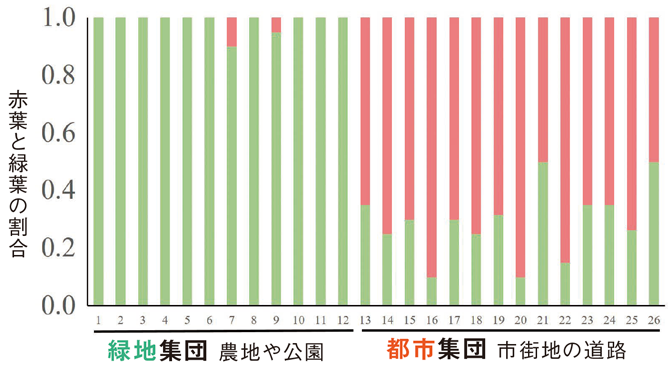 グラフの画像