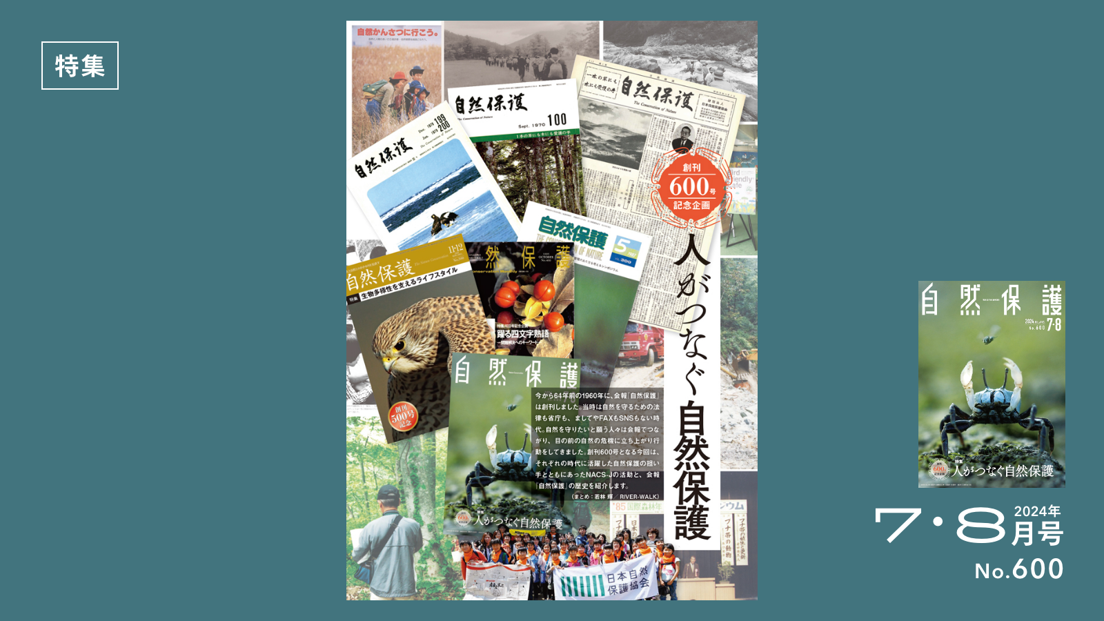 自然保護年鑑 ２　平成１・２年版/自然保護年鑑刊行会/自然保護年鑑編集委員会（単行本） 自然保護年鑑 2 平成1・2年版/自然保護年鑑刊行会/自然保護年鑑編集