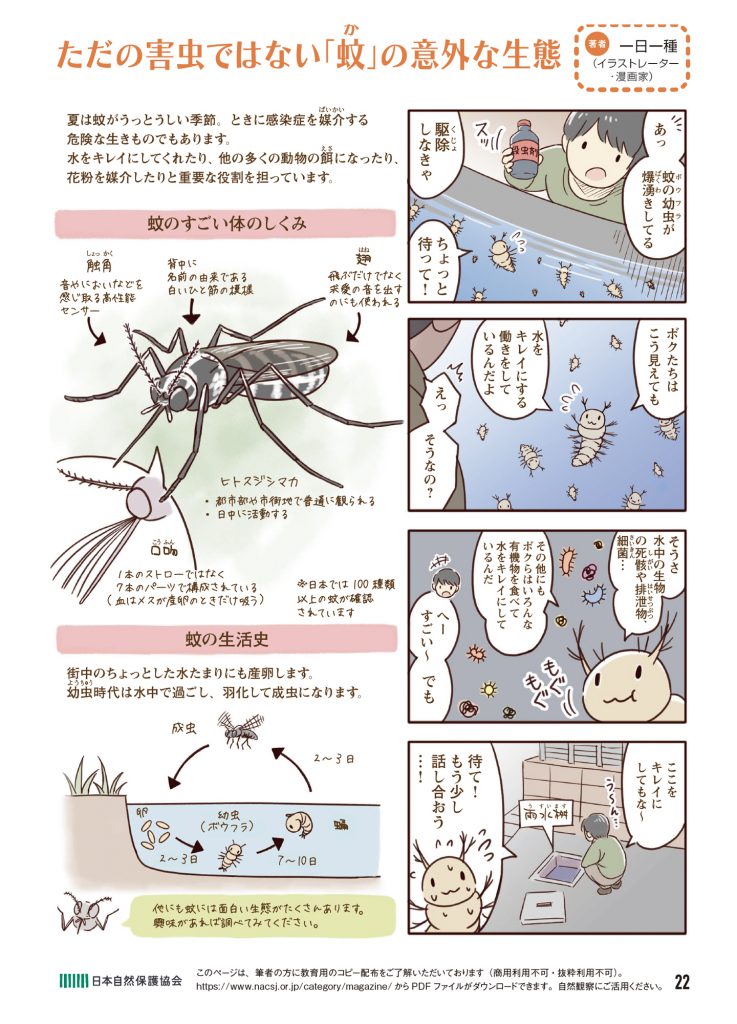 夏は蚊がうっとうしい季節。ときに感染症を媒介する危険な生きものですが、水をキレイにしてくれたり、他の多くの動物の餌になったり、 花粉を媒介したりと重要な役割を担っています。