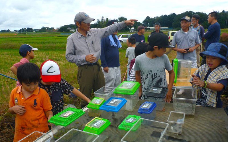 いきもの調査の様子（小山市）