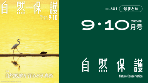 会報『自然保護』No.601　2024年9・10月号　特集:自然観察を深める写真術