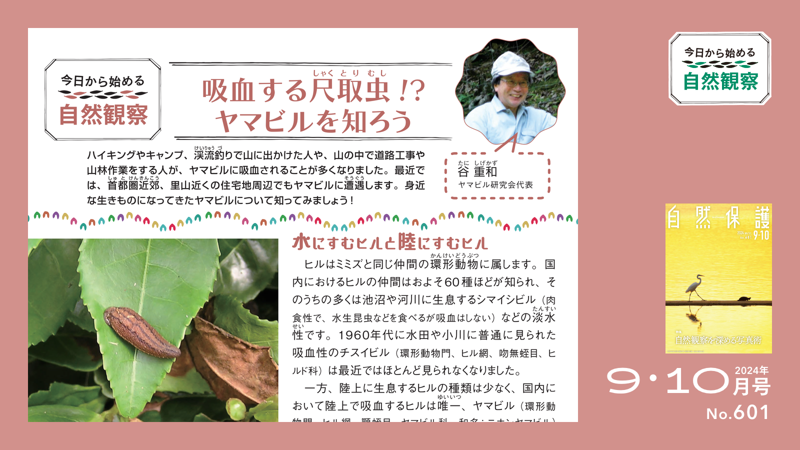 配布資料】今日から始める自然観察「吸血する尺取虫！？ ヤマビルを知 