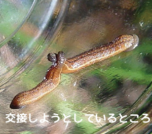 交接しようとしているところ