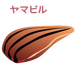 ヤマビルのイラスト画像