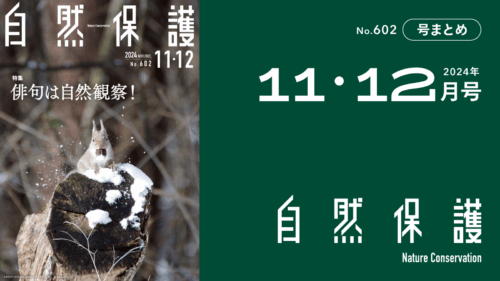 会報『自然保護』No.602　2024年11・12月号　特集:俳句は自然観察！