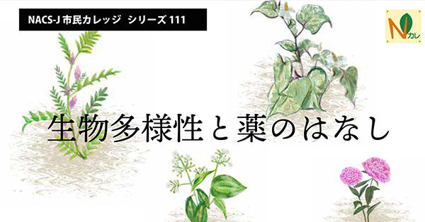 タイトルバナー