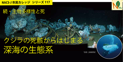 タイトルバナー