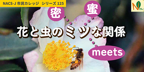 タイトルバナー