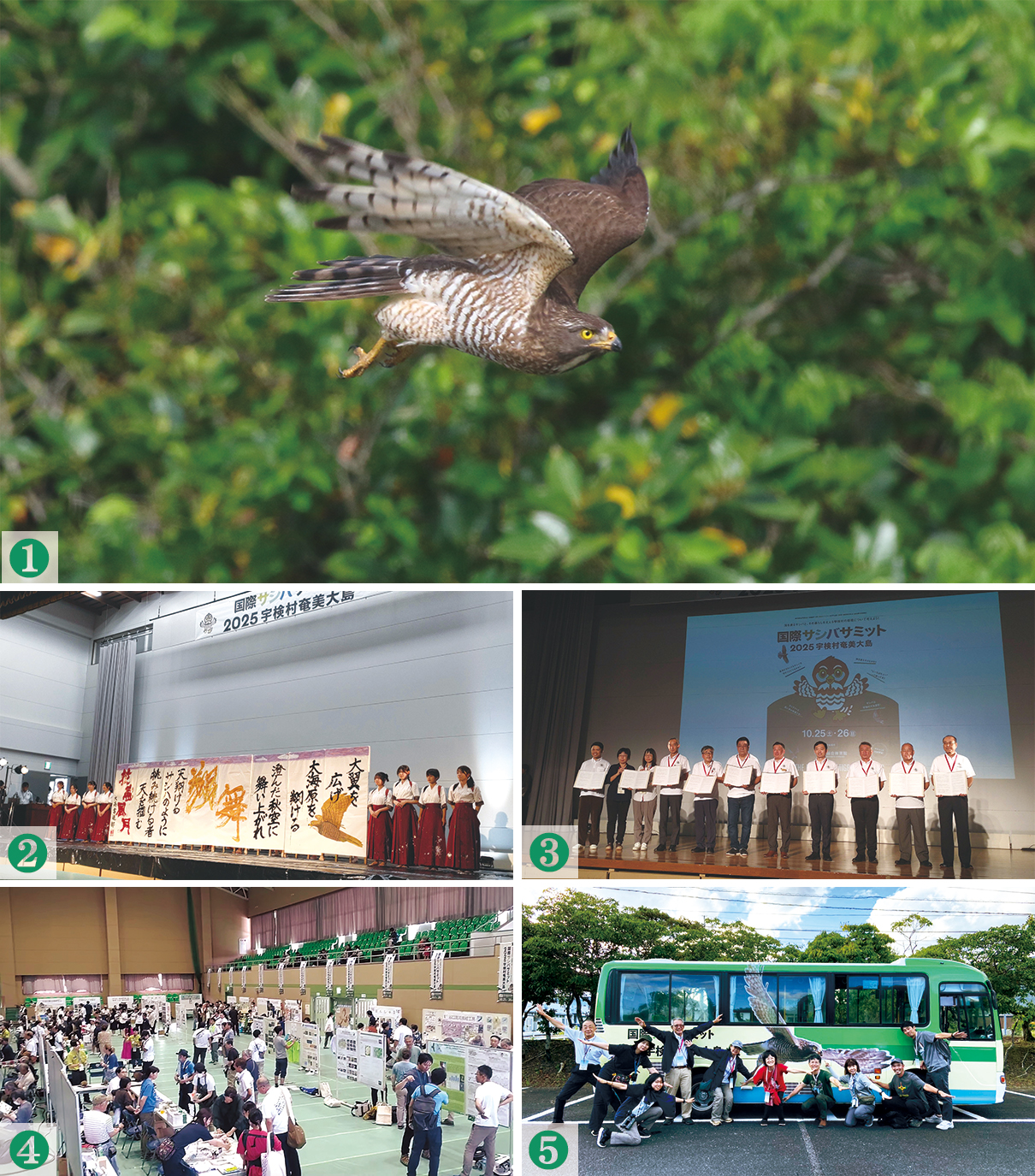 サシバ、サミット会場、バスの写真