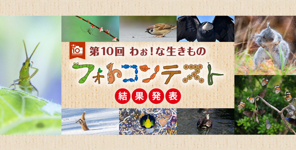 第10回わぉ！な生きものフォトコンテストのビルボード画像