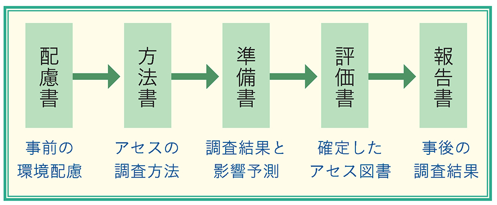 環境アセスメント一連の流れ