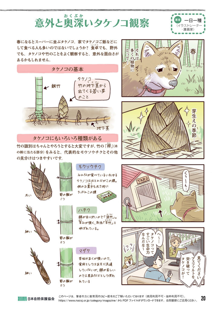 会報604号今日から始める自然観察