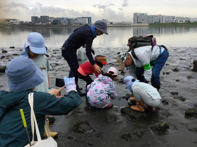 干潟で観察する親子の画像
