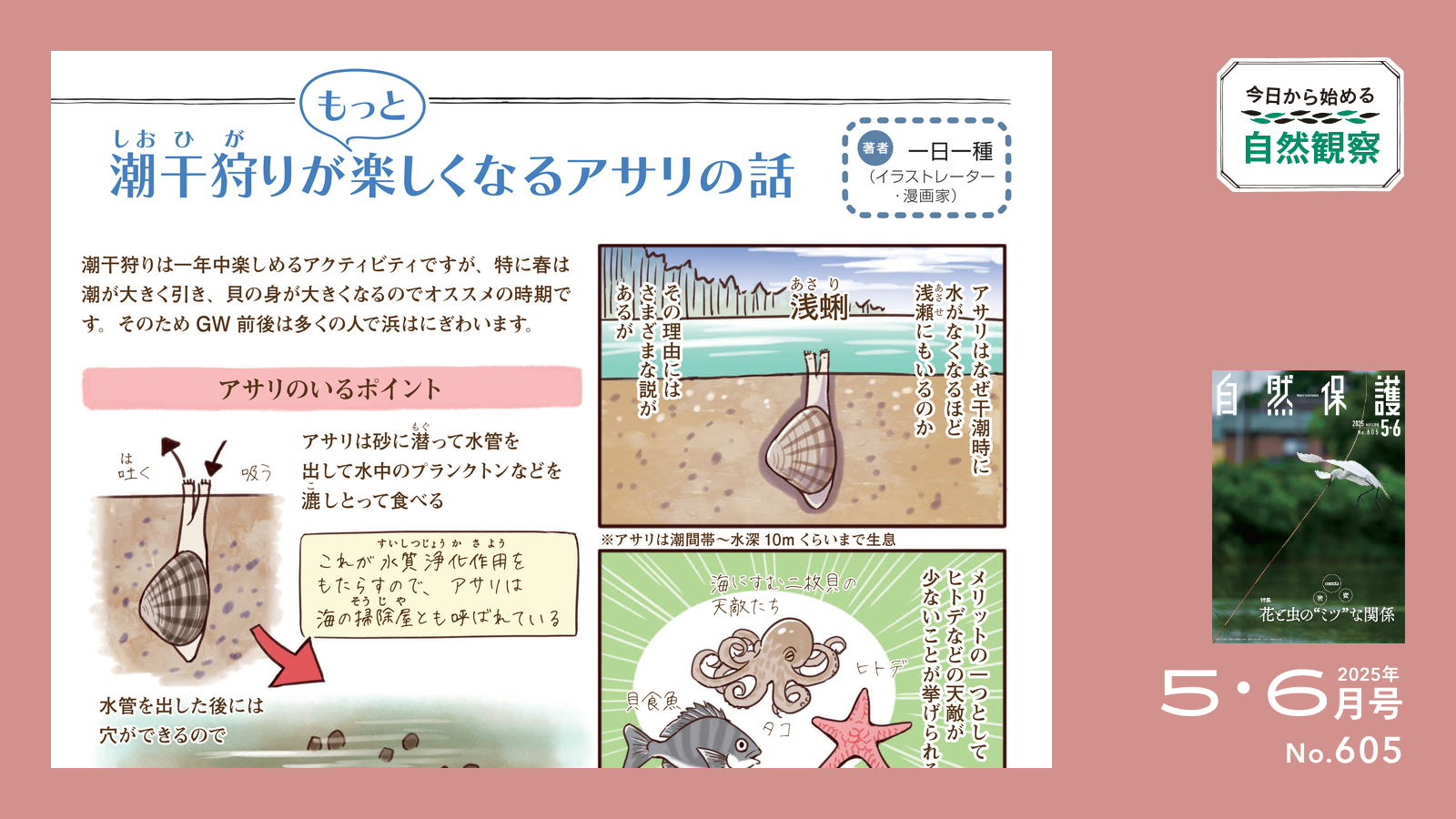 今日からはじめる自然観察２のタイトル画像