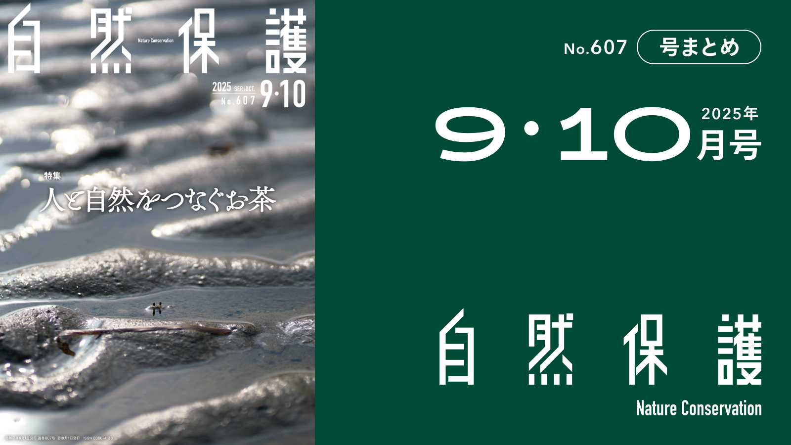 会報『自然保護』No.607 2025年9・10月号 特集：人と自然をつなぐお茶