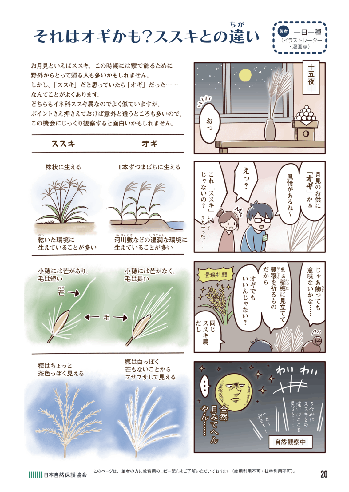 今日からはじめる自然観察ページ画像