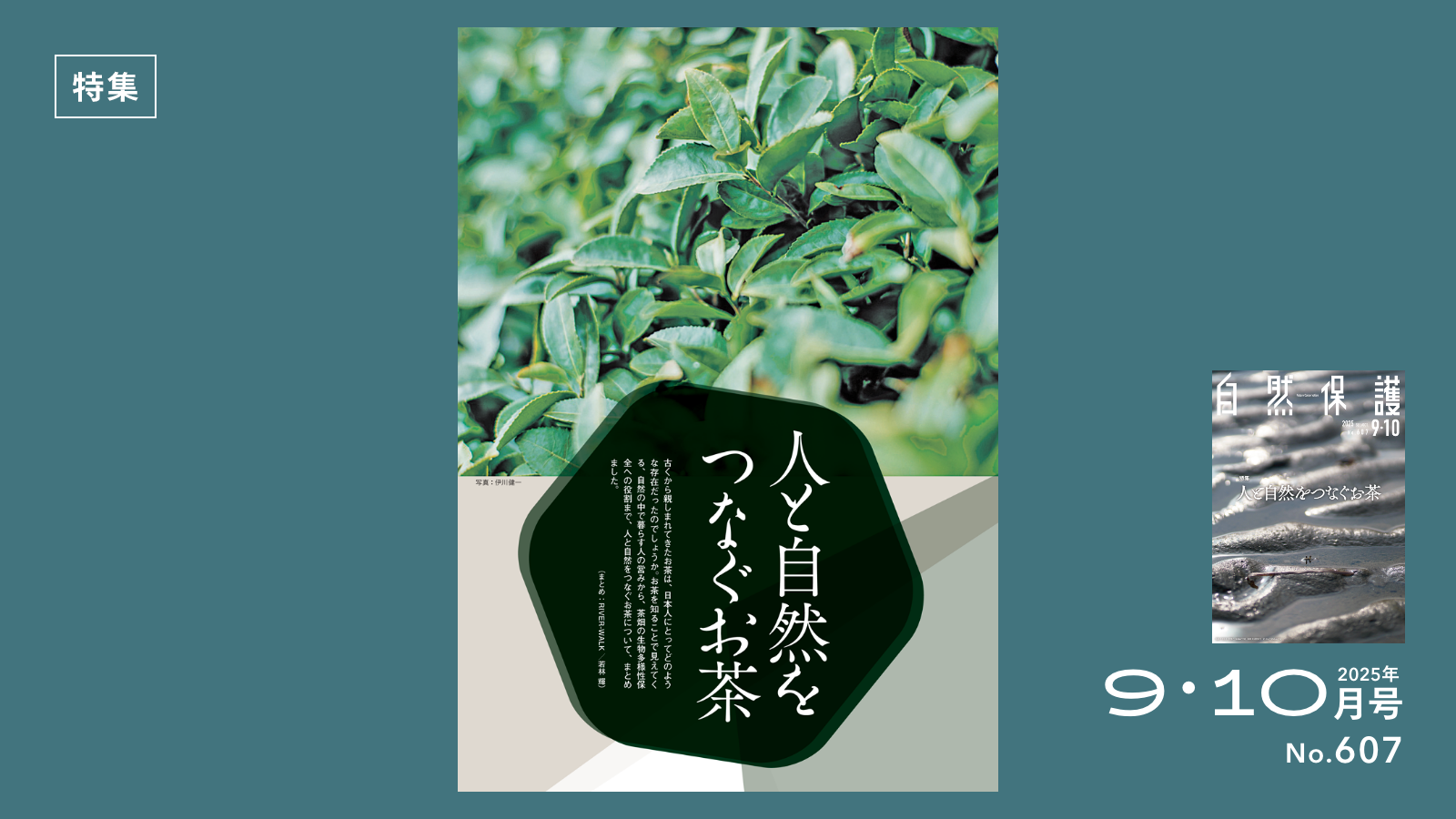 大自然の気による教育革命―人間は大自然の産物である ネイチャーポジティブに向け、生物多様性を含めた自然環境