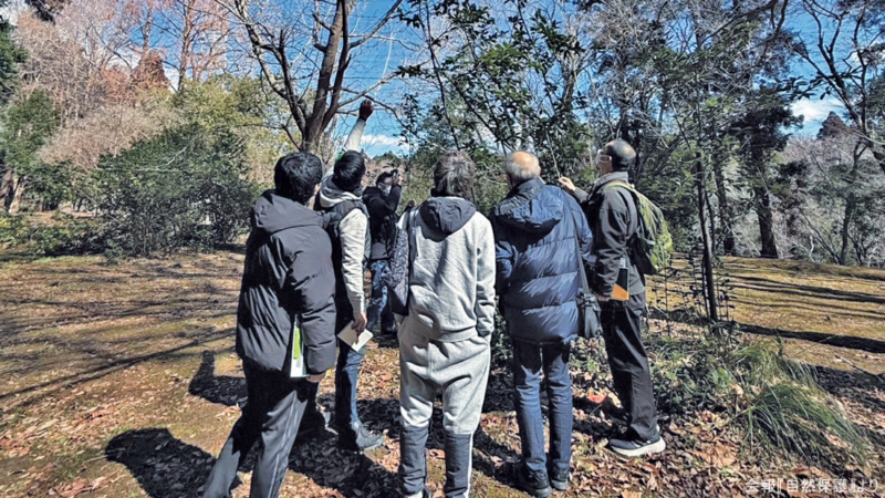 観察会の画像