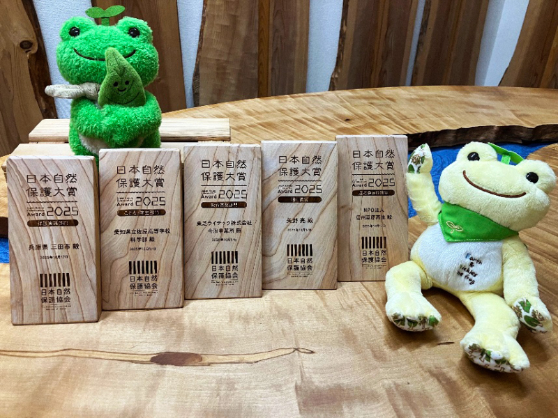 かえるのピクルスと木製楯の画像