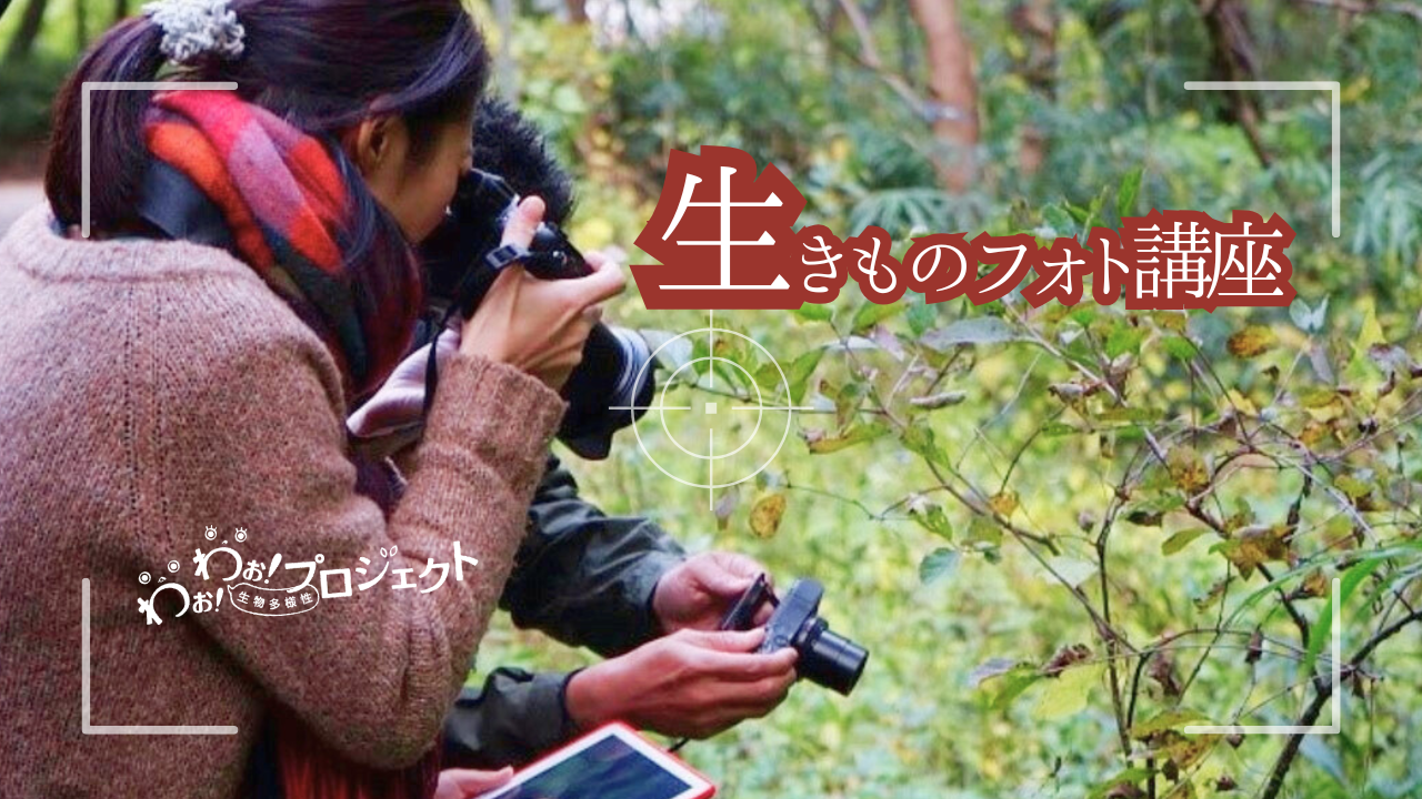 わぉ！わぉ！自然観察会「生きものフォト講座 」 | 全国のイベント情報