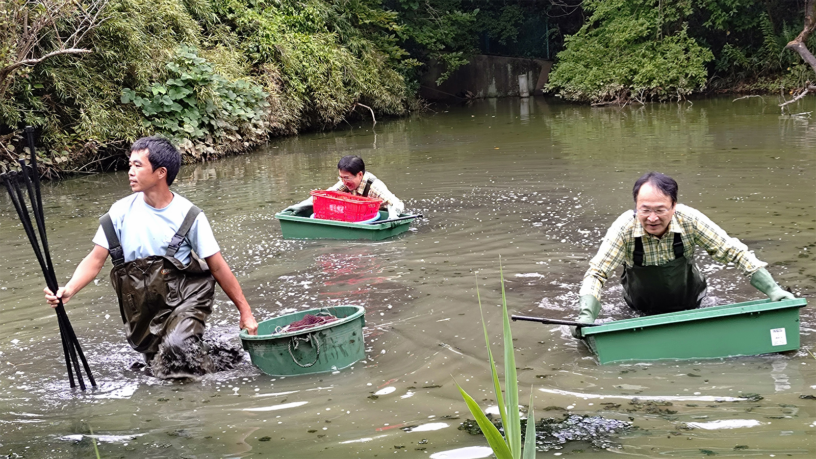 池での作業風景
