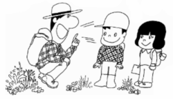 お散歩応援団イメージ