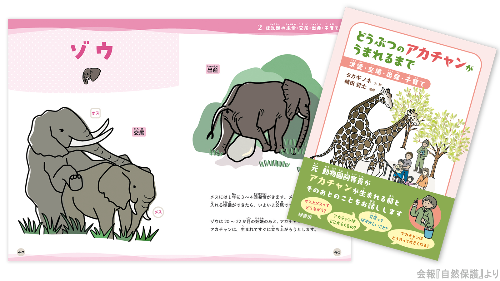 どうぶつのアカチャンがうまれるまで表紙の画像