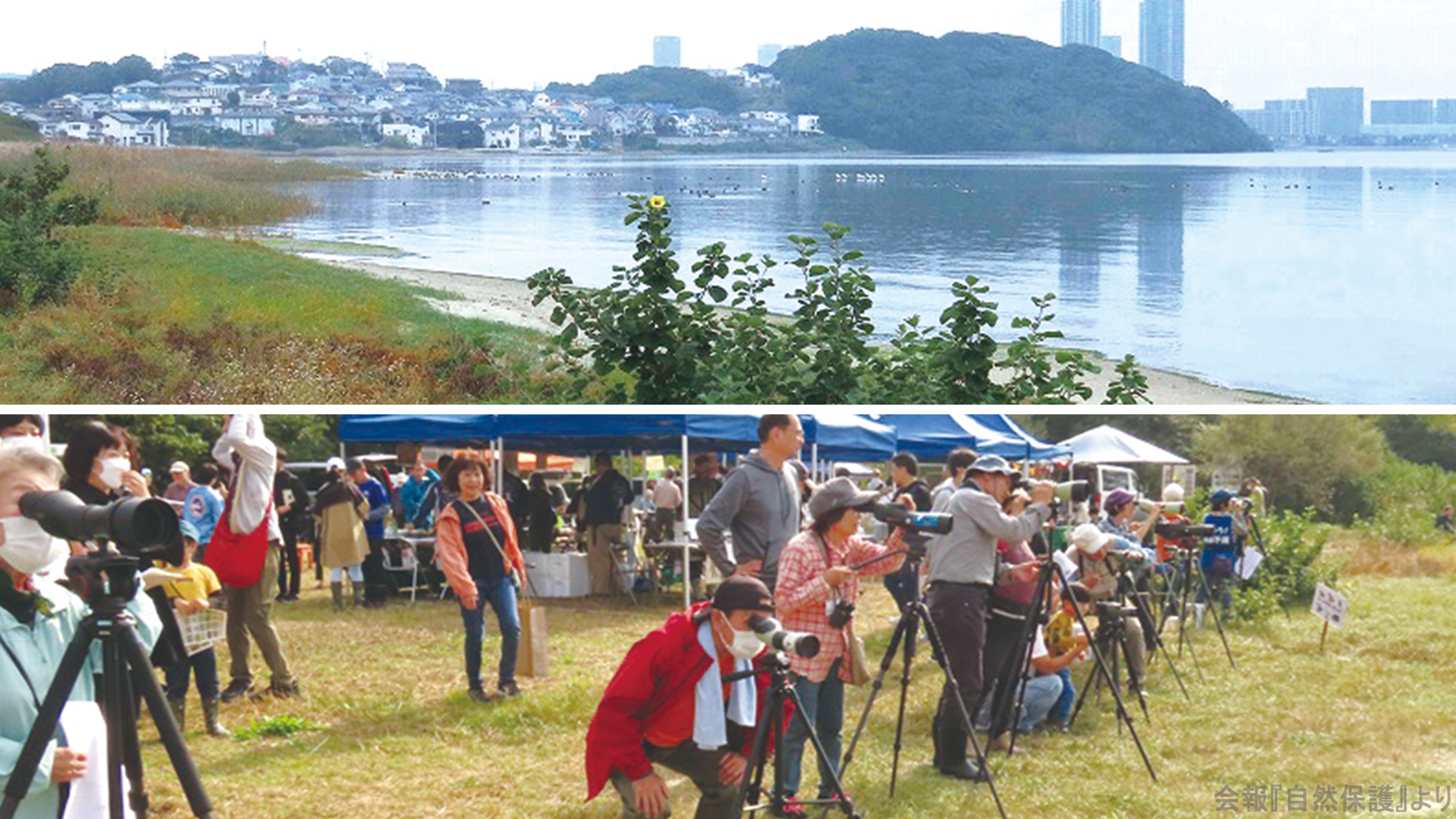 和白干潟の画像