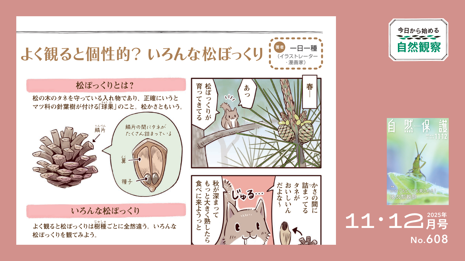 配布資料】今日から始める自然観察「よく観ると個性的？ いろんな