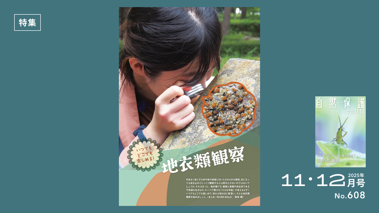 宇宙のように美しく神秘的 もっと知りたい！ 地衣類のこと | 知ろう