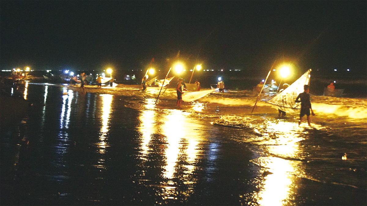 夜の海岸での漁の様子