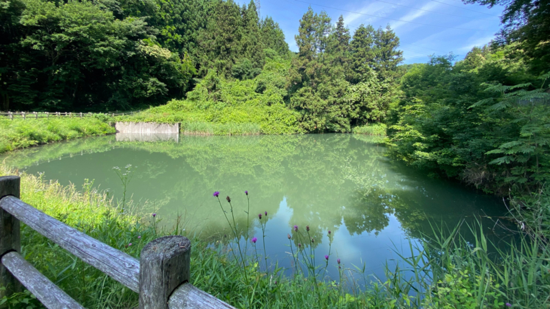 ため池の画像