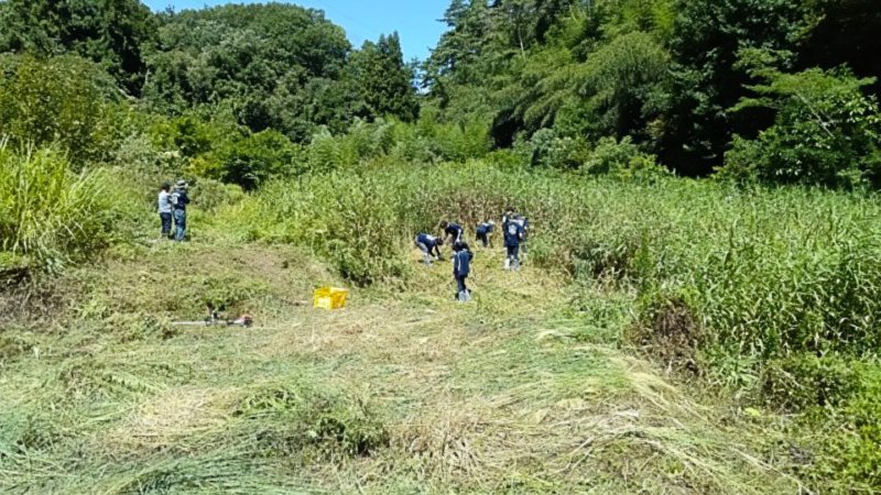 草刈りをする生徒の画像