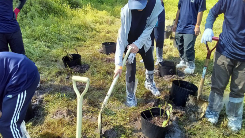 移植作業中の生徒の画像