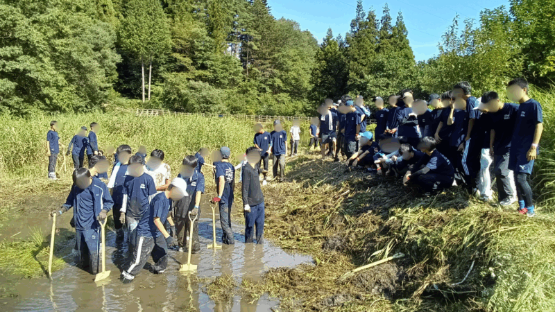 湿地が戻ったエリアの画像
