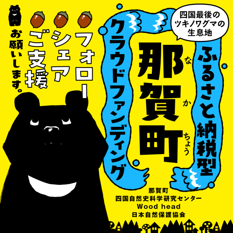 那賀町クラウドファンディングイメージ