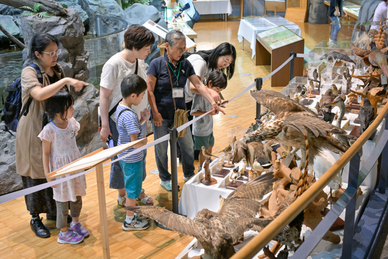 展示を見学する様子