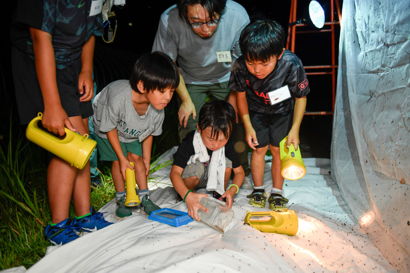 ライトトラップを観察する子どもの写真