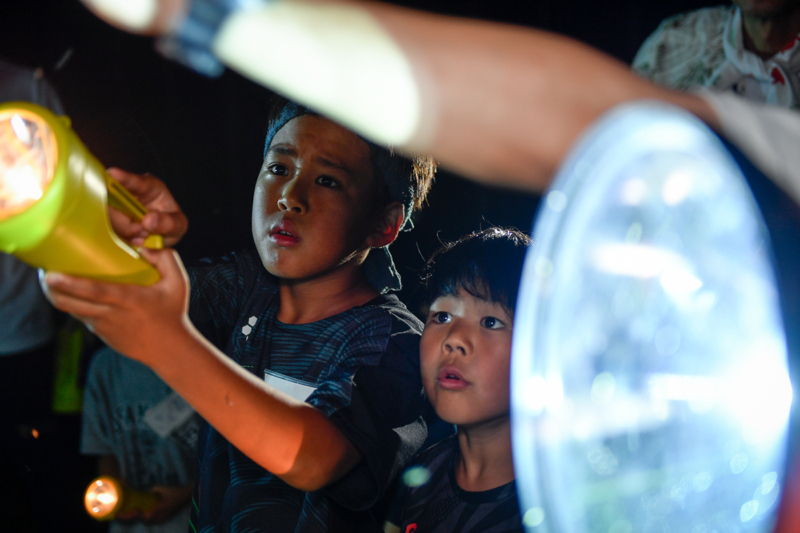 ライトを当てて観察する子どもの写真