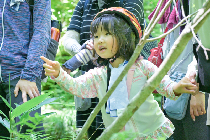 何かを見つけて指さす子どもの写真